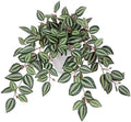 Briful Artificial Potted Plants Indoor - 18.5'' Small Faux Trailing House Plant with Cascading Vines Lifelike Fake Plants in White Plastic Pot for Shelf Desk Bathroom Home & Office Decor by Briful