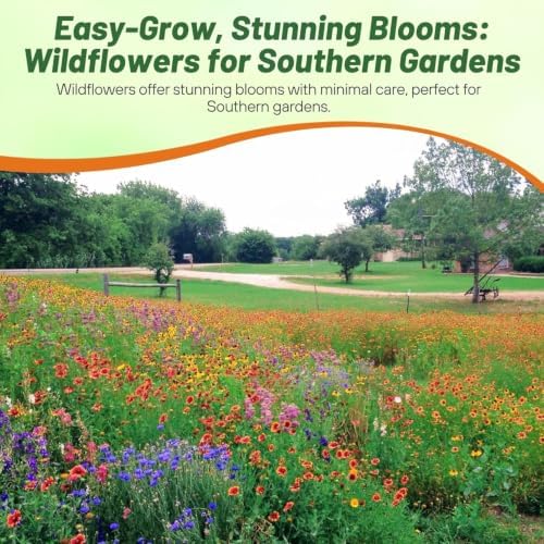 Outsidepride Southeast Wildflower Seed Mix - 1 lb Highly Adaptable, Easy to Grow, Low-Maintenance Mix of Annual & Perennial Wildflower Seeds for Natural Landscapes in Southeastern States - Image 6