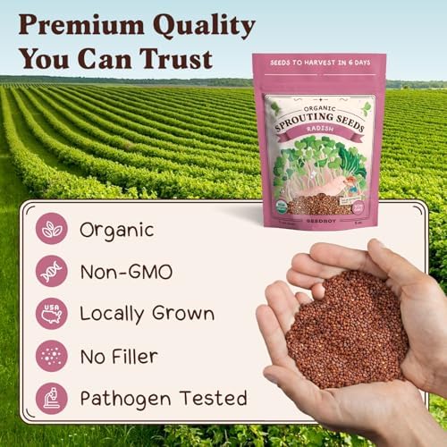 Seedboy Organic Non-GMO Sprouting Seeds (Daikon Radish) - Image 6