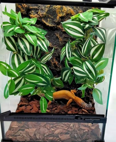 Fake Reptile Plants for Terrarium,Hanging Plant with Suction Cup - Image 3