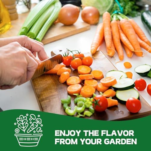 Groundio 40,000+ Heirloom Seeds Kit, 37 Vegetable Seeds Individual Pack - Non GMO for Planting Vegetables, Fruit and Herbs, Outdoor Garden Seeds for Indoor & Outdoor Garden Planting - Image 7