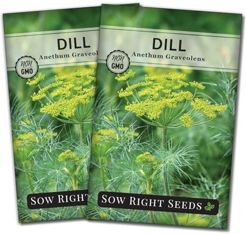 Sow Right Seeds- Bouquet Dill Seed for Planting Non-GMO Heirloom Garden 2pk by SowRightSeeds