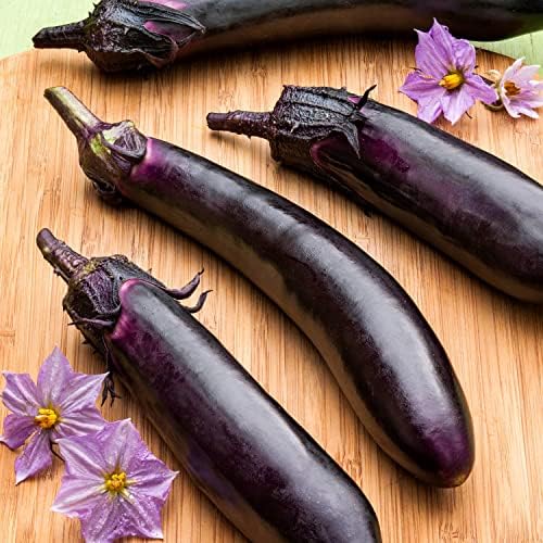 Bonnie Plants Ichiban Type Japanese Eggplant - 4 Pack Live Plants, Great in Containers, 10in. Long Fruit, Perfect for Grilling & Roasting, Green - Image 3