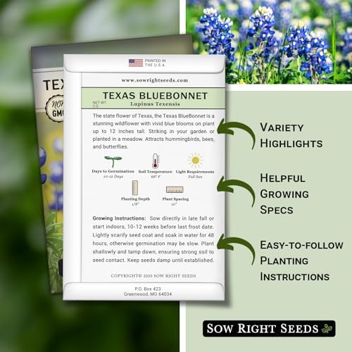Sow Right Seeds - Texas Bluebonnet Seed for Planting Wildflower Garden 2pk - Image 2