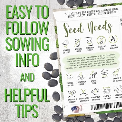 Seed Needs Luffa/Loofah Sponge Gourd Seeds to Plant Vegetables - 2 Packs - Image 4