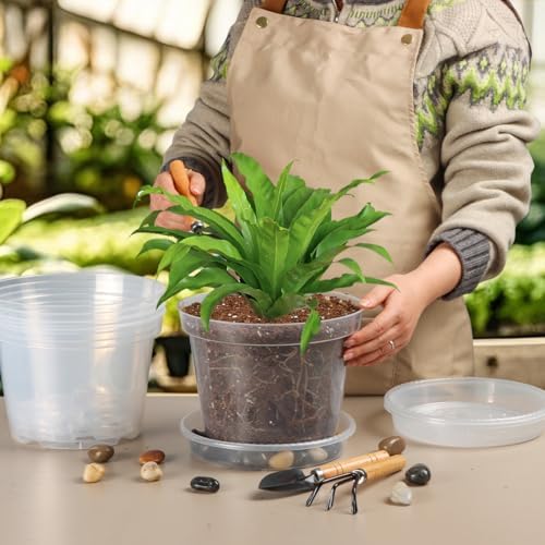 7 Pack 8 Inch Clear Nursery Pots with Saucer, Transparent Plastic Plant Pot with Drainage Holes, Sturdy Plant Starter Pots, Planter Pot for Planting Succulent Flower Herb Vegetable, Gardening Gifts - Image 5