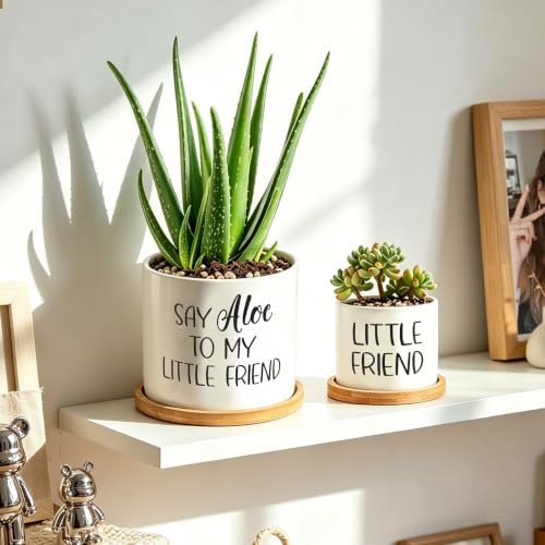 Say Aloe to My Little Friend Planter Pot Plant Lover Set with Bamboo Tray - Image 2