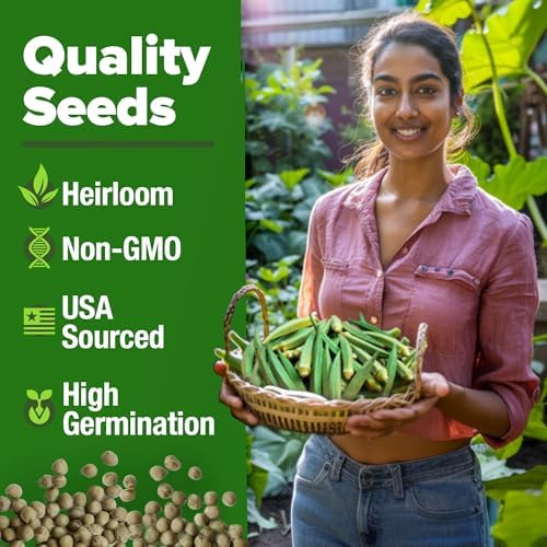 HOME GROWN Clemson Spineless Okra Seeds, 202+ Seeds, Abelmoschus esculentus - Image 3