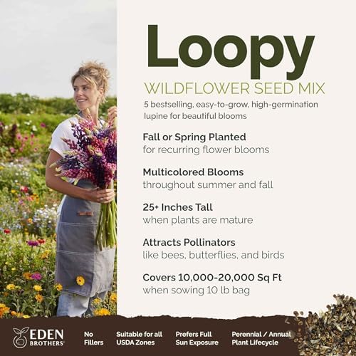Eden Brothers Lupine Flower Mixed Seeds for Planting, 10 lb, 4,800,000+ Seeds with Russell, Arroyo, Yellow, Sky Lupine | Attracts Pollinators, Plant in Spring or Fall, Zones 3, 4, 5, 6, 7, 8, 9, 10 - Image 2