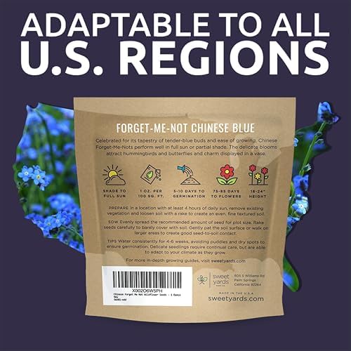 Chinese Forget Me Not Wildflower Seeds - Bulk 1 Ounce Packet - Over 5,500 Open Pollinated Seeds - Blue Cynoglossum amabile - Image 7