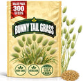 Lagurus Ovatus Bunny Tail Grass Seeds for Planting, Heirloom Non-GMO Hare’s Tail Ornamental Grass Seeds, High Germination Soft Fluffy Flower Heads for Dried Bouquets and Garden Decor, 300 Count by WilyFox