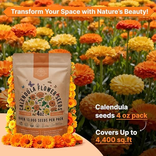 Calendula Seeds Pack 4 oz - Over 13,000 Non-GMO Heirloom Calendula Seeds for Planting Indoor & Outdoor Gardening, Flower Seed for Planting Home and Garden, Flowers Seed in Individual Packet - Image 4