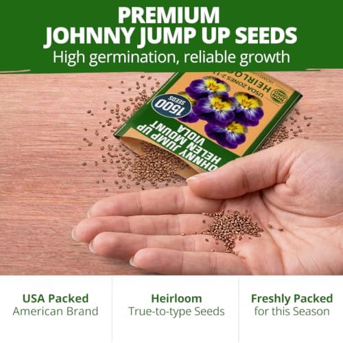 HOME GROWN Johnny Jump Up Helen Mount Viola Seeds, 3,000, Viola Tricolor - Image 7