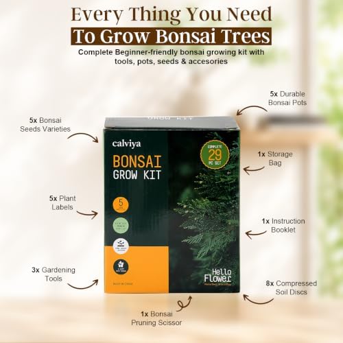 Bonsai Starter Kit for Growing Trees - DIY 5X Unique Japanese Bonsai Trees - Image 2