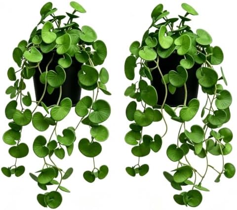 Artificial Hanging Coin Leaf Potted Vine, 2 Pack for Shelf Decor by QenyiHPD
