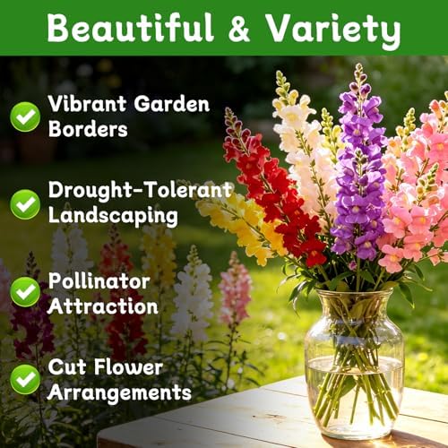 LUOJIBIE Snapdragon Seeds, 50,000+ Tetra Mix Snapdragon Seeds for Planting (Antirrhinum Majus) Fairy Bouquet Blend, Non-GMO Heirloom Annual Flower Garden Seeds Bulk for Outdoor & Indoor - Image 2