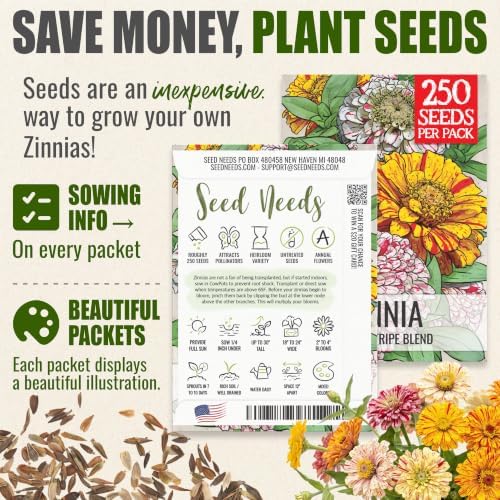 Seed Needs Candystripe Zinnia Seeds to Plant Cut Flowers - 5 Packs - Image 3