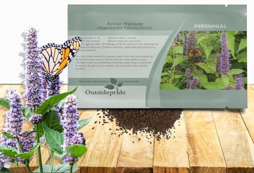 Outsidepride Purple Anise Hyssop Seeds for Planting - 5000 Pcs Perennial Herb Garden Seeds with Fragrant Blooms Attractive to Pollinators, for Small Gardens, Containers, & Xeriscaping by Outsidepride