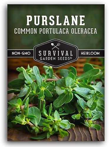 Purslane Seeds for Planting, Verdolagas - 1 Pack by SurvivalGardenSeeds