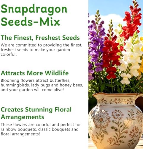 LUOJIBIE Snapdragon Seeds, 50,000+ Tetra Mix Snapdragon Seeds for Planting (Antirrhinum Majus) Fairy Bouquet Blend, Non-GMO Heirloom Annual Flower Garden Seeds Bulk for Outdoor & Indoor - Image 4