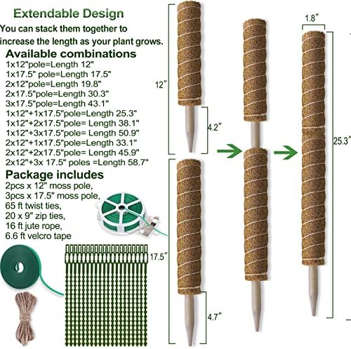 Fabulas Moss Pole 58.7 Inch - Monstera Plant Support 5 Pack, 17.5" and 12" Plant Stakes for Indoor Plants Coco Coir Moss Pole Sticks for Climbing Potted Live Plants, Pothos, Philodendron - Image 5