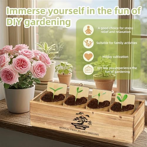 Premium Bonsai Kit,Complete Bonsai Starter Kit with Wooden Gift Box,repotting mat, Burlap Pots & Gardening Tools, DIY Bonsai Plant Set for Adults & Beginners (Seeds Excluded)Birthday Thanksgiving gift - Image 3