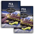 Desiree Purple Podded Pea Seeds for Planting - 2 Packs by SurvivalGardenSeeds