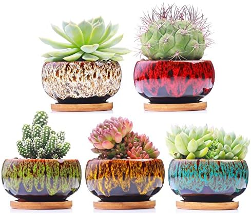 Cute Ceramic Succulent Garden Pots, Planter with Drainage and Attached Saucer, Set of 5 -Plants Not Included (Round) by LamDawn