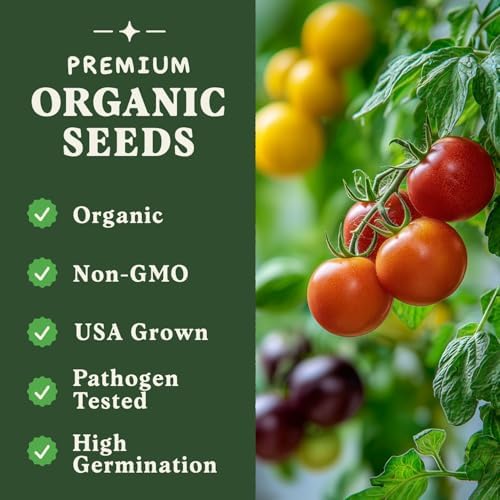 Organic Non-GMO Vegetable Seeds for Planting (Beefsteak Tomato) - Image 3