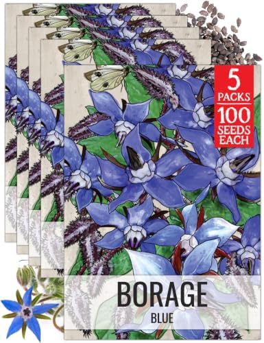 Seed Needs Blue Borage Seeds to Plant an Herb Garden - 5 Packs by SeedNeeds