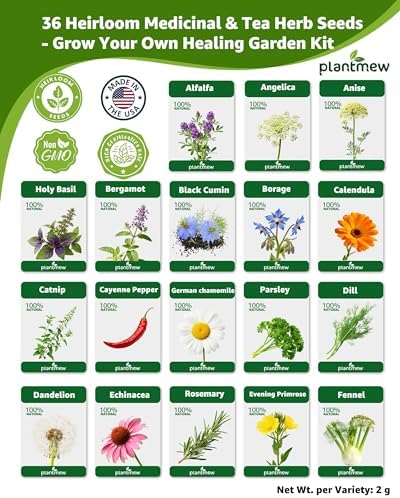 36 Medicinal Herb Seeds Variety Pack, Non-GMO Herbal Tea Garden Seeds - Image 4