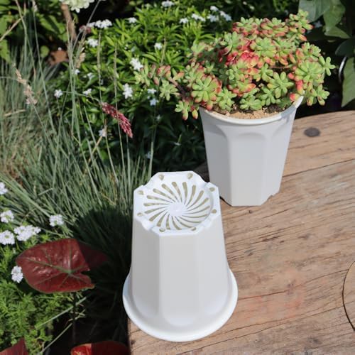 8 Pack 6.10 Inch White Plastic Deep Nursery Pot and Seedling Planter for Succulent, Cutting, Transplanting - Image 5