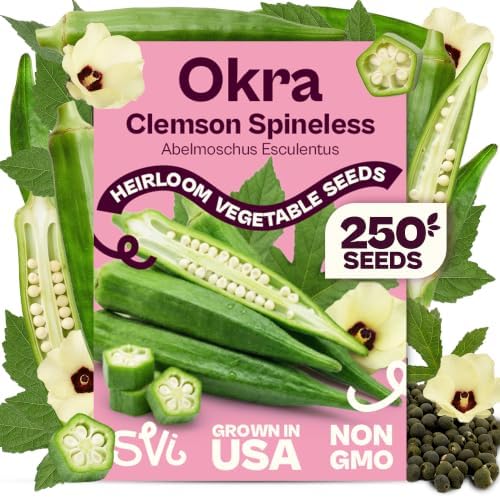 SVI 250 Clemson Spineless 80 Okra Seeds (Abelmoschus esculentus) – Clemson Spineless Okra Seed Packets, Heavy Yields – Heirloom Vegetable Seeds in Outdoor Vegetable Garden by SVI