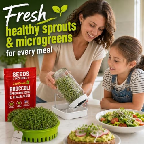 Broccoli Sprouts Growing Kit with Mason Jar, Stand, Tray & USA Seeds - Image 6