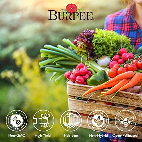 Burpee Heirloom Vegetable Seeds, Variety Pack with 35 Varieties of Plant Seeds, 30,000+ Garden Seeds - Mixed Non-GMO Seeds with Select Varieties of Lettuce, Beans, Tomatoes, Peppers, Squash and More - Image 3