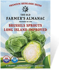 The Old Farmer's Almanac Heirloom Brussels Sprouts Seeds (Long Island Improved) - Approx 700 Seeds - Non-GMO, Open Pollinated, USA Origin by Unknown