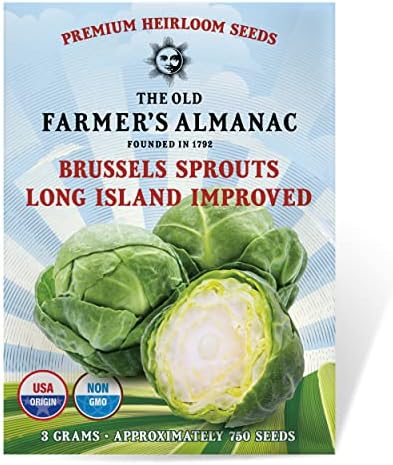 The Old Farmer's Almanac Heirloom Brussels Sprouts Seeds (Long Island Improved) - Approx 700 Seeds - Non-GMO, Open Pollinated, USA Origin by Unknown