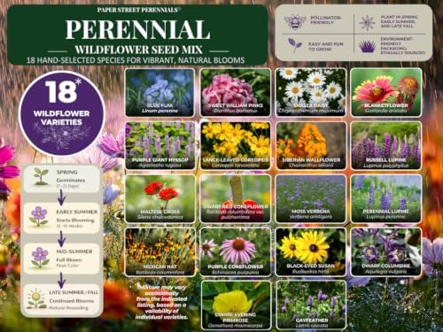 All Perennial Wildflower Seed Mix – 18 Perennial Species, Pollinator Friendly Wildflower Seeds for Meadows & Gardens, No Fillers, USA Grown - 1lb Covers 2,000sq-ft - Image 3