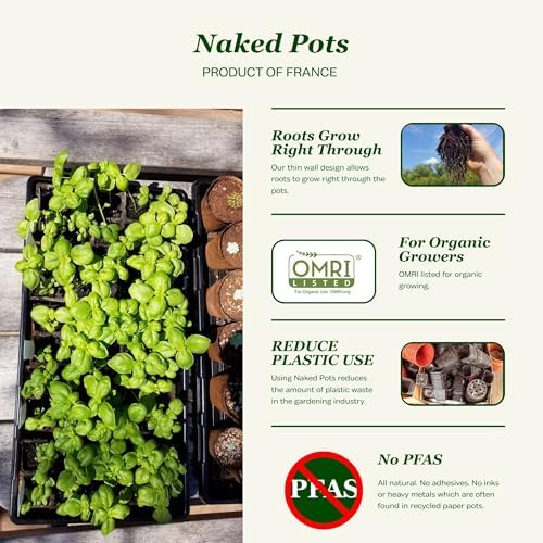 Daniel's Plants 4" Naked Pots | Large Natural Plantable Seed Starter Pots | OMRI-Listed Biodegradable for Seedlings | Enhanced Aeration | Earth Friendly - Peat Free | 30 Pack 4 Inch Round - Image 2