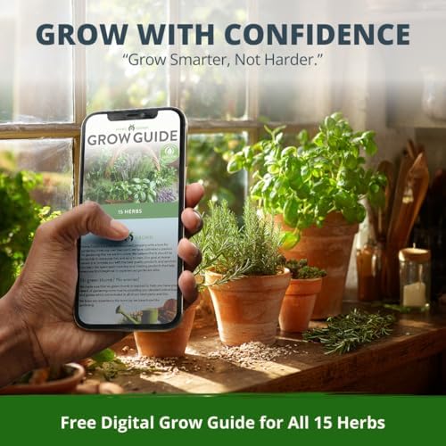 HOME GROWN 15 Herb Seed Variety Kit, 4,300+ Seeds, Culinary Herb Kit - Image 6