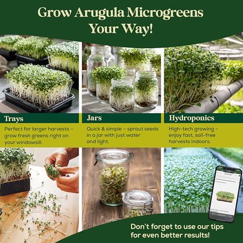 Arugula Sprouting & Microgreens Seeds - 220,000 Non-GMO Heirloom Seed, 1lb Resealable Bag - High-Germination Arugula Seeds for Sprouting in Jars, Soil, Hydroponics & Microgreen Trays - Image 5