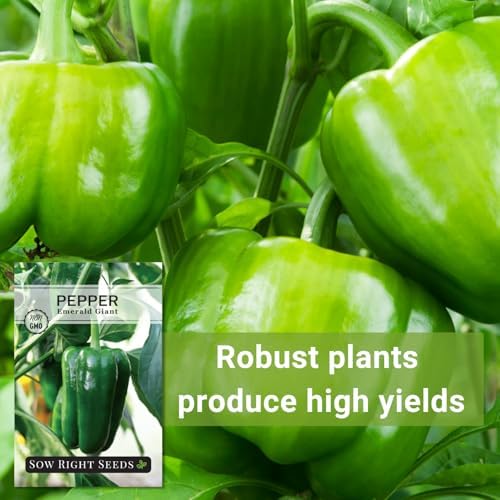 Sow Right Seeds - Emerald Giant Pepper Seed for Planting Bell Peppers - Image 5
