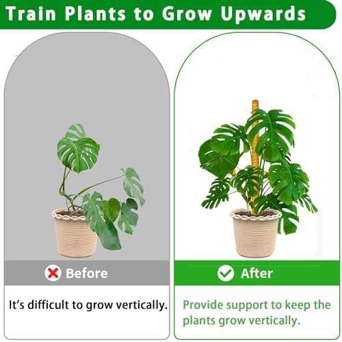 Moss Pole, 4 Pack 17Inch Monstera Plant Support for Climbing Plants Accessories Indoor -Stackable Moss Poles Plant Support Stakes -Coir Plant Pole Sticks for Potted Plants -Pothos, Tall Plant Trellis - Image 4