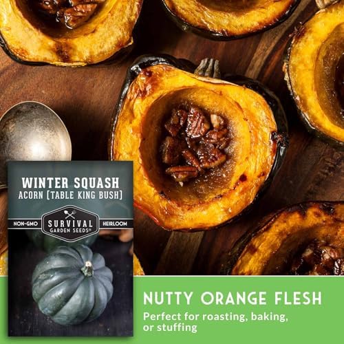 Acorn Squash Seeds for Planting – Survival Garden Seeds (5 Pack) - Image 4