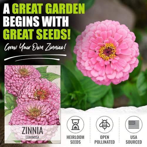 Seed Needs Luminosa Zinnia Seeds to Plant Cut Flowers - 5 Packs - Image 2