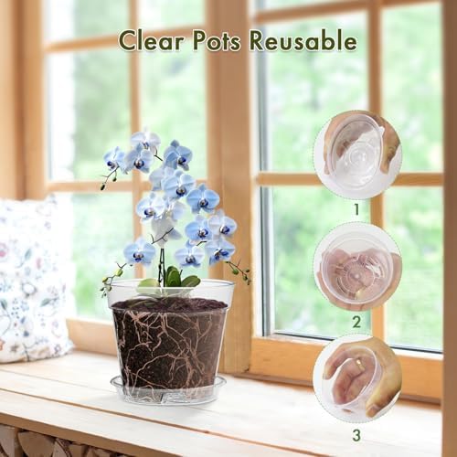 WSMKSZ 3 Inch Clear Nursery Pots, 30 Pack Highly Transparent Plastic Seedling Starter Planters with Drainage Holes and Trays for Flowers, Small Plant Pots for Indoor Plants - Image 5