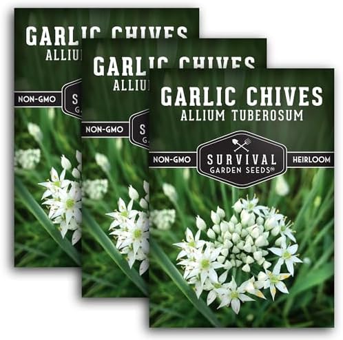 Garlic Chives Seeds for Planting - Heirloom Chinese Herb (3 Packs) by SurvivalGardenSeeds