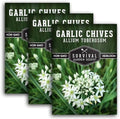 Garlic Chives Seeds for Planting - Heirloom Chinese Herb (3 Packs) by SurvivalGardenSeeds
