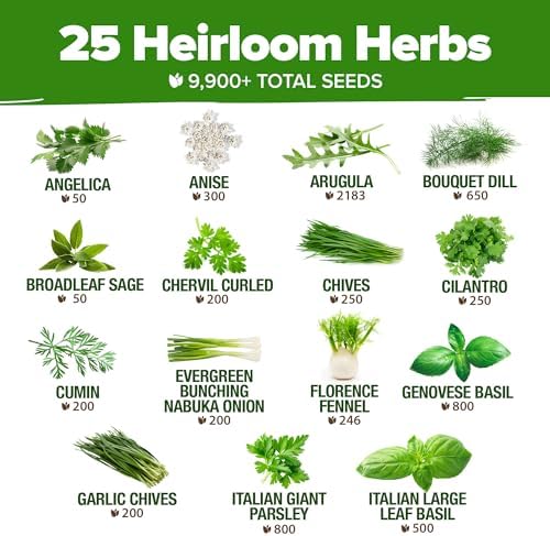 HOME GROWN 25 Herb Variety Pack 9,900+ Seeds Extra Large Culinary Kit - Image 3