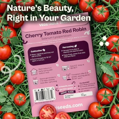 SVI 50 Red Robin Cherry Tomato Heirloom Seeds Lycopersicon esculentum - Image 2